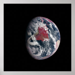 Wachstum der Pflanze auf dem Planeten Erde. Poster