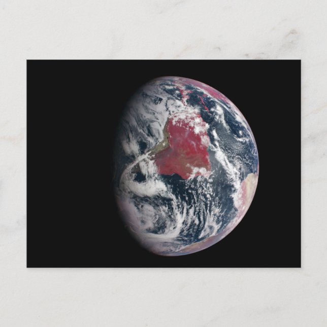 Wachstum der Pflanze auf dem Planeten Erde. Postkarte (Vorderseite)