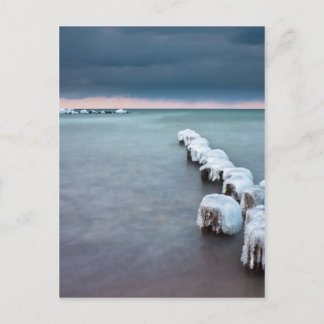 Wachstum im Winter an der Ostsee Postkarte