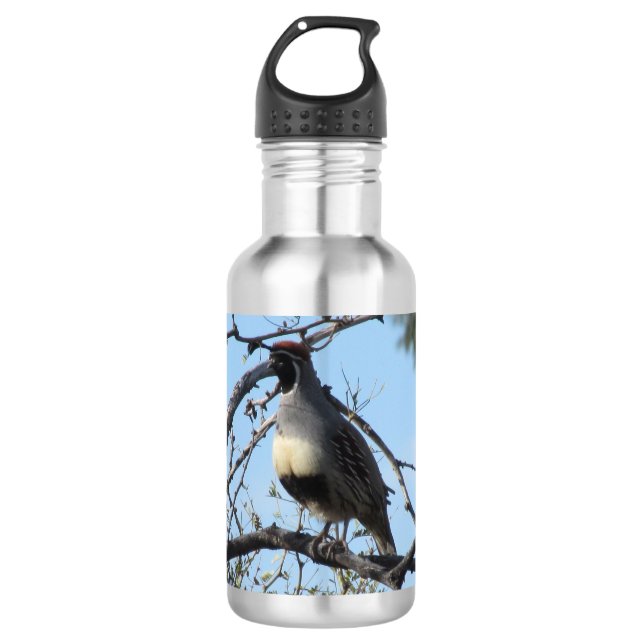 Wachtel-Flasche Edelstahlflasche (Vorderseite)
