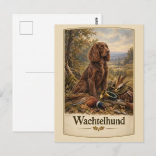 Wachtelhund Jagdkunst, Deutscher Wachtelhund Postkarte