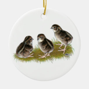 Wachtelküken der Coturnix Keramikornament