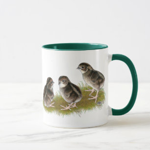 Wachtelküken der Coturnix Tasse