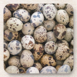 Wachteln, Huaraz, Cordillera Blanca, Ancash Untersetzer