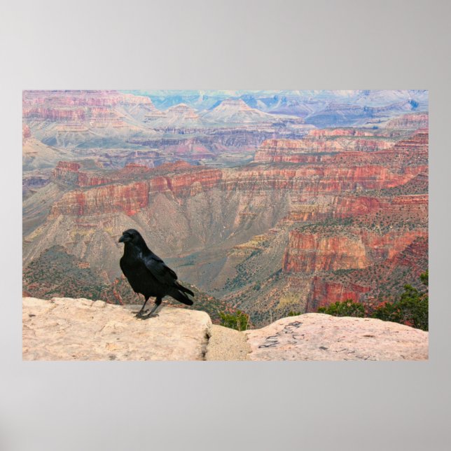 Wächter des Canyon Poster (Vorne)