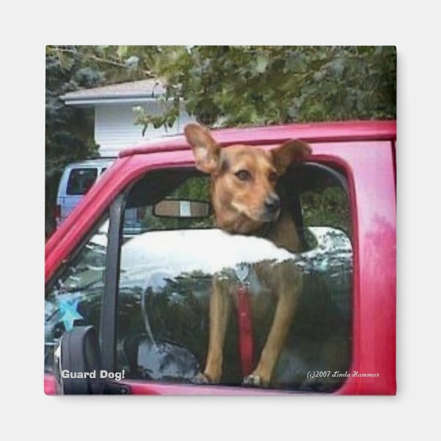 Wächter Hund! Magnet (Vorne)