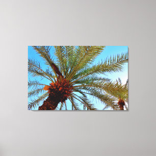 Wadi Namar Date Tree Leinwanddruck