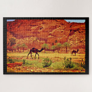 Wadi Namar Puzzle
