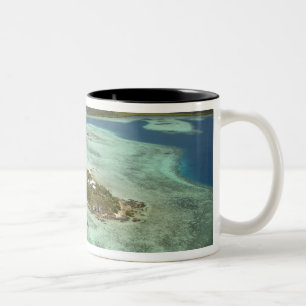 Wadigi-Insel, Mamanuca-Inseln, Fidschi Zweifarbige Tasse
