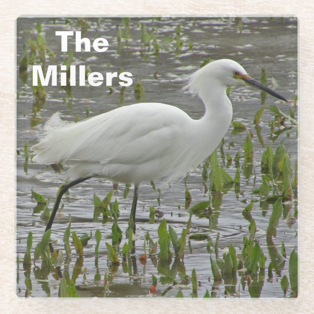 Wading Bird Foto Family Name White Egret Glasuntersetzer (Vorderseite)