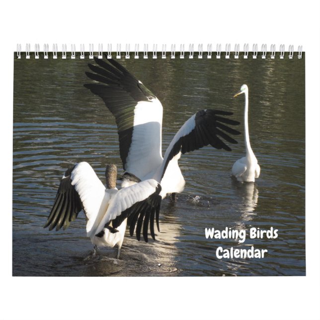 Wading Birds Calendar Kalender (Titelbild)