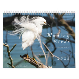 Wading Birds of the USA - Original 2024 Calendar Kalender
