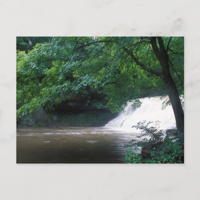 Wadsworth Falls Connecticut Postkarte (Vorderseite)