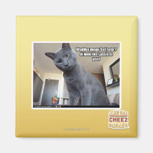 Wadya gemein 'Hilfe holen'? Magnet