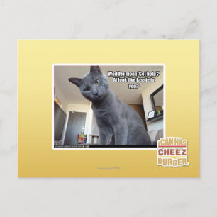 Wadya gemein 'Hilfe holen'? Postkarte