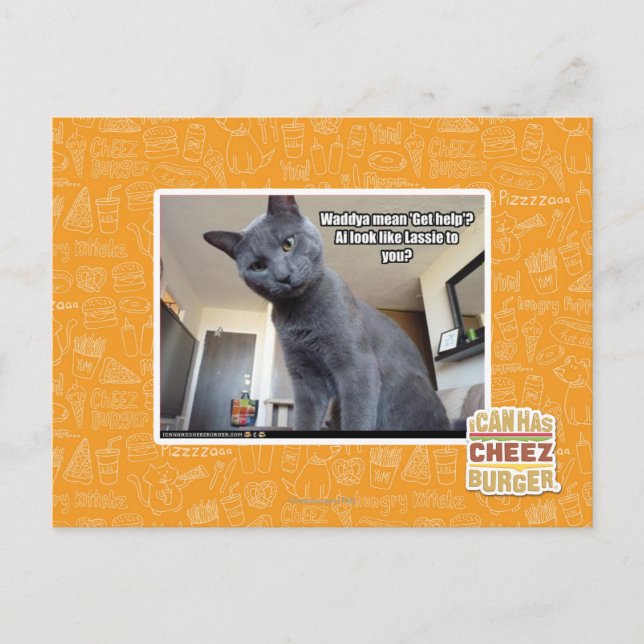 Wadya gemein 'Hilfe holen'? Postkarte (Vorderseite)