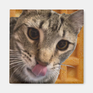 Waffelkatze Magnet