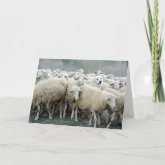 Wage, anders zu sein! Sheepdog Sprichwort ... Karte