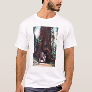 Wagen, der unter ein riesiges Rotholz reist T-Shirt