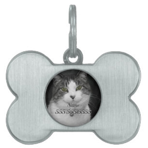 wagen Sie es, in meine Green Eyes Pet-Tag zu schau Tiermarke