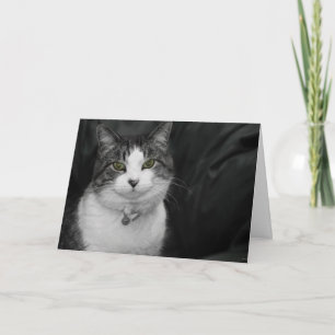 wagen Sie es, in meine grünen Augen zu schauen Karte