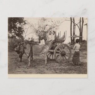 Wagen zog durch zwei Ochsen in Mandalay, Birma Postkarte