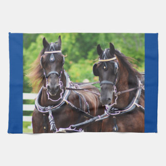 Wagenfahren Küchentuch