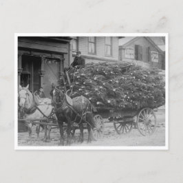 Wagenladung der Weihnachtsbaumen Postkarte