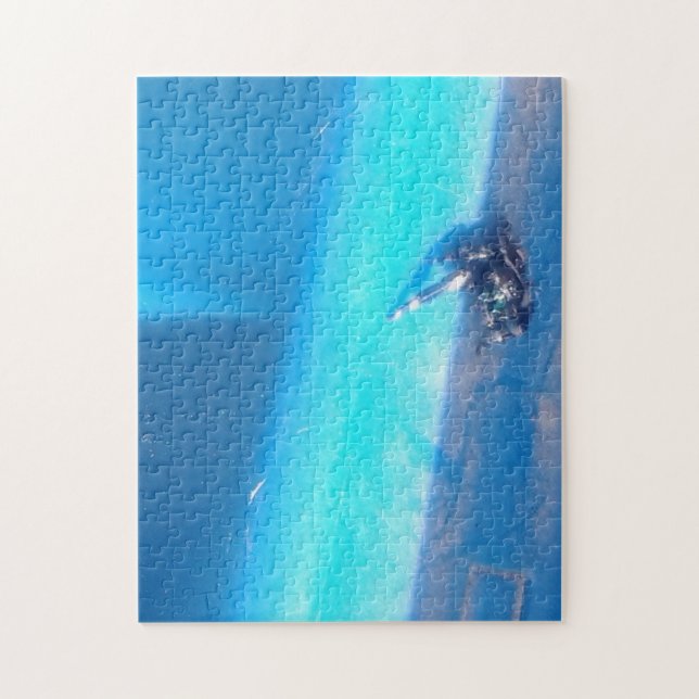 waghalsig oder kühn springende Spinne Puzzle (Vertikal)