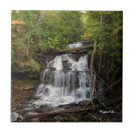 Wagner Falls tile Fliese