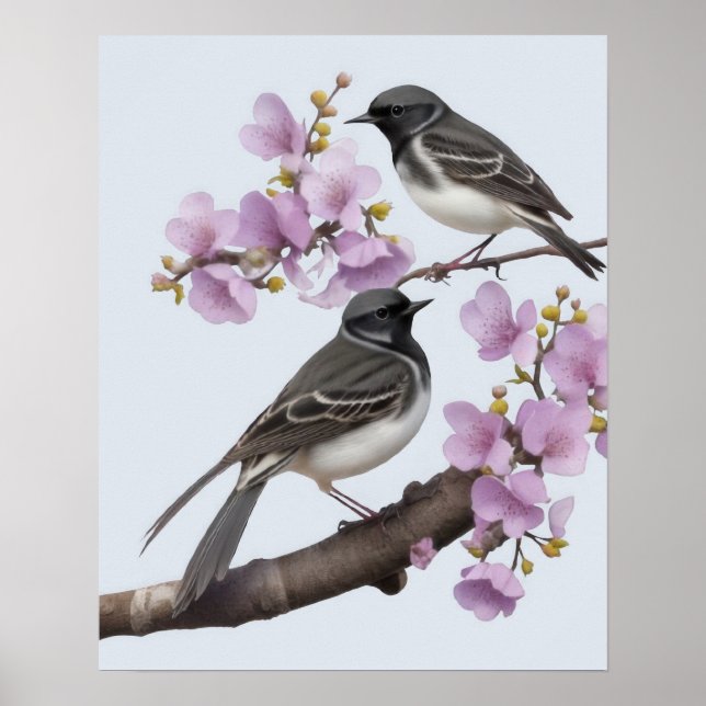 Wagtail Bird Poster (Vorne)