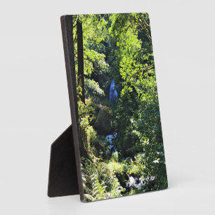Wahkeena Falls, OR Fotoplatte