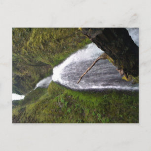 Wahkeena Falls, Oregon Postkarte