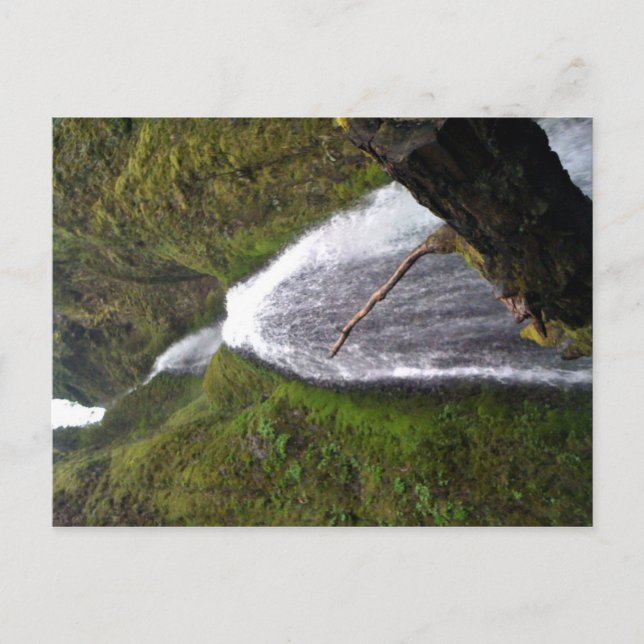 Wahkeena Falls, Oregon Postkarte (Vorderseite)