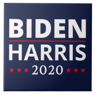 Wahl 2020 - Biden Harris II Fliese