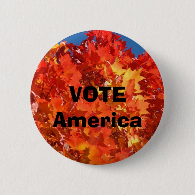 Wahlen in Amerika politische Sitte Button (Vorderseite)