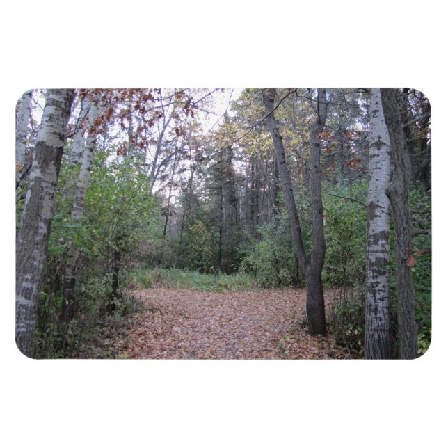 Wählen Sie Ihren Pfad. Magnet (Horizontal)