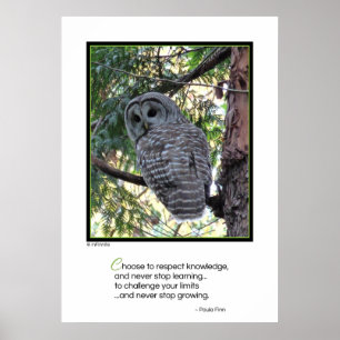 Wählen Sie Wissen zu respektieren...motivierend Po Poster