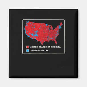 Wahlplan 2024 USA Dumbfor Magnet