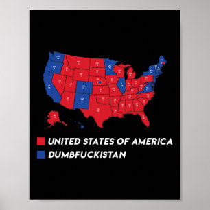 Wahlplan 2024 USA Dumbfor Poster