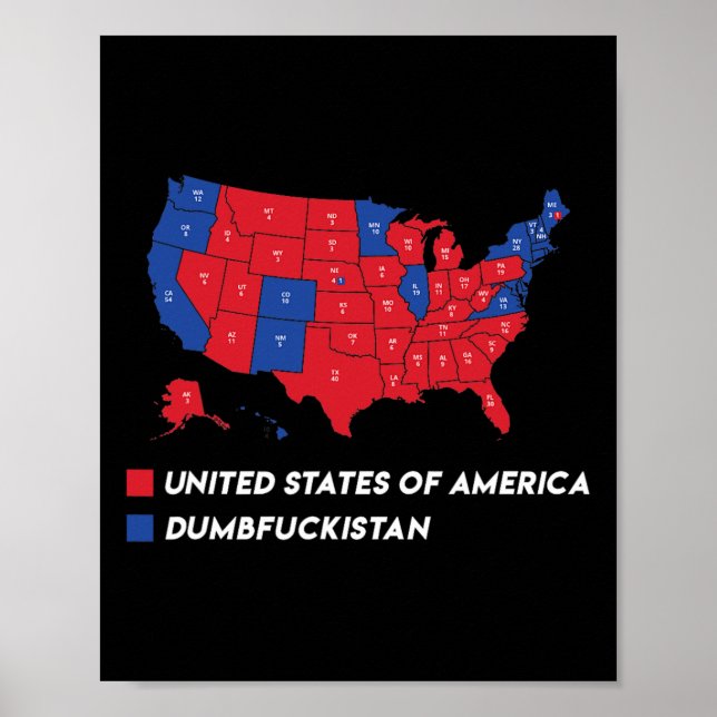 Wahlplan 2024 USA Dumbfor Poster (Vorne)