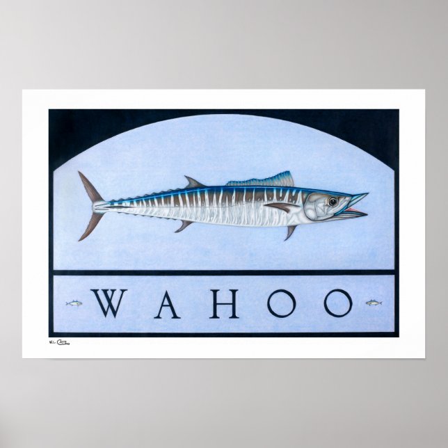 Wahoo Posters, Prints und Frames Poster (Vorne)