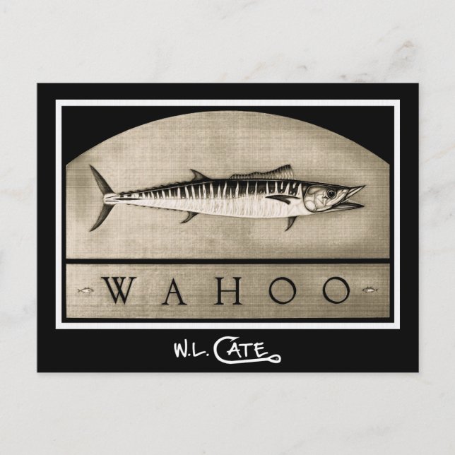 Wahoo Vintage Schwarz/Weiß Postkarten (Vorderseite)