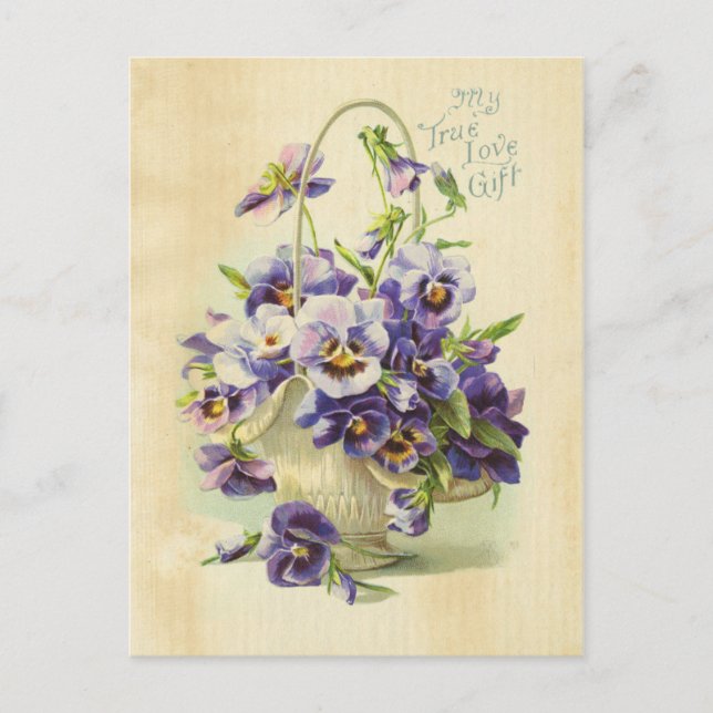 Wahre Liebe Lila Blume Vintage Illustration Postkarte (Vorderseite)
