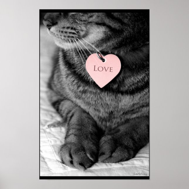 Wahre Liebe Poster (Vorne)