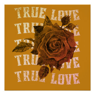 Wahre Liebe Rose Romantischer Valentinstag B&W Poster