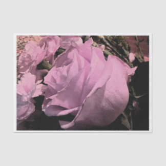 Wahre rosa Rose u. Gartennelken Seidenpapier