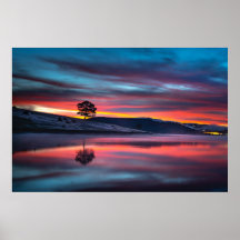 Während der goldenen Stunde reflektiert ein Baum e