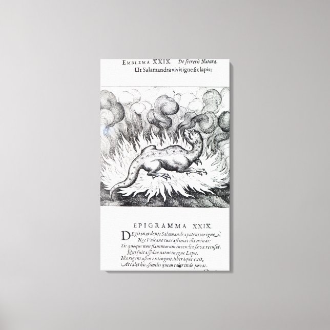 Während der Salamander brennt Leinwanddruck (Vorderseite)