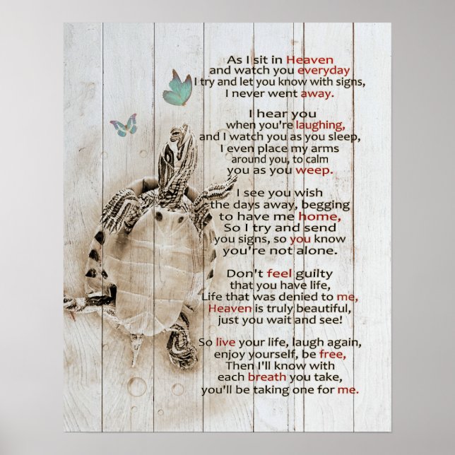 Während ich mich in den Himmel Schildkröten Gesche Poster (Vorne)